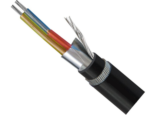 Cina Sertifikasi CE kaleng Copper Conductor Signal PE Insulated Kabel Disesuaikan ISO pemasok