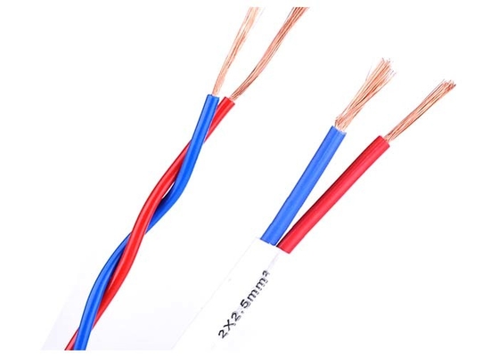Cina Dua Cores Industrial Electric Wire Dan Kabel PVC Insulated PVC Berselubung pemasok
