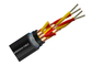 Sertifikasi CE kaleng Copper Conductor Signal PE Insulated Kabel Disesuaikan ISO pemasok