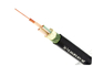 Tegangan rendah 0,6 / 1kV XLPE Insulated Power cable IEC standar Dua Cores pemasok