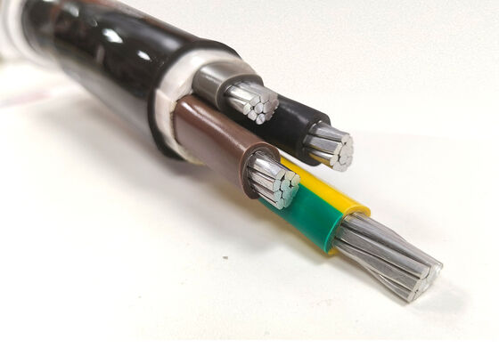 Cina Kabel Daya Inti Tunggal PVC Berinsulasi Tembaga Bebas Oksigen NYY-O 1x300mm2 untuk Distribusi 0,6/1kV pemasok