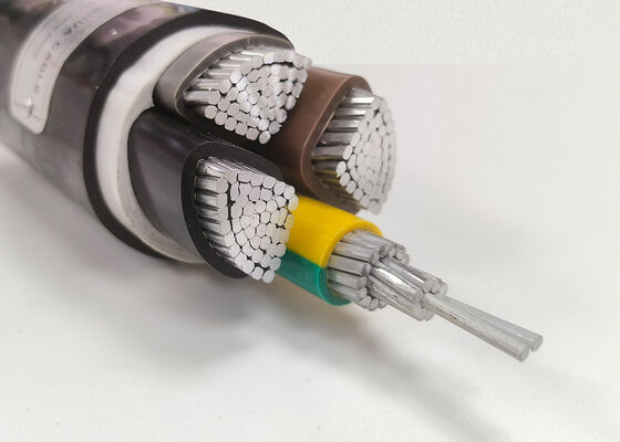 Cina Kabel Daya N2XRY 4x35mm2 Tembaga Bebas Oksigen Berisolasi PVC Berpelindung untuk Bawah Tanah 0,6/1kV pemasok