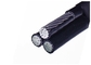 Al / Xlpe Insulated Aerial Bunched Aerial Power Cable AAC Conductor pemasok