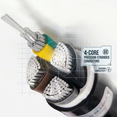 Kabel PVC Tahan Air Tahan Lembab 0.6/1kV 2 Inti 2x4mm2 Area Basah Luar Ruangan pemasok