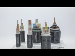XLPE Insulated Black PVC Power Cable Copper/Aluminium Conductor