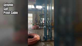 Kekebalan Garam Seismik Kabel Shenghua 26 35kV